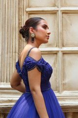 Royal Blue GownIMG_0718 copy